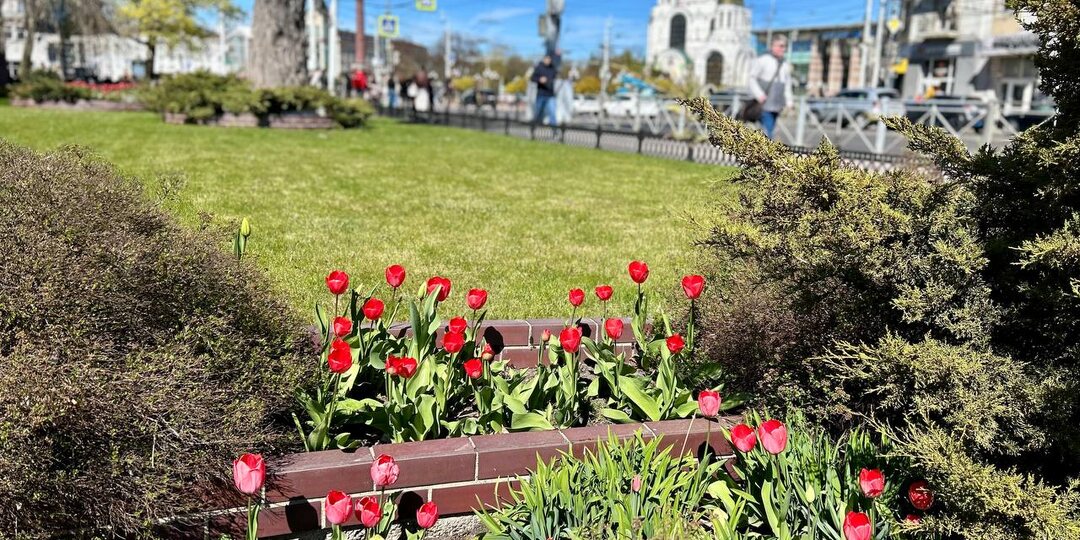 Как же цветы оживляют улицы Калининграда! Сразу поднимается настроение