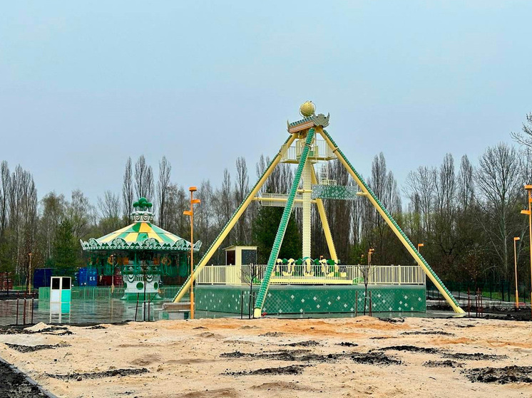     фото: Временно исполняющая полномочия главы Липецка Светлана Бедрова