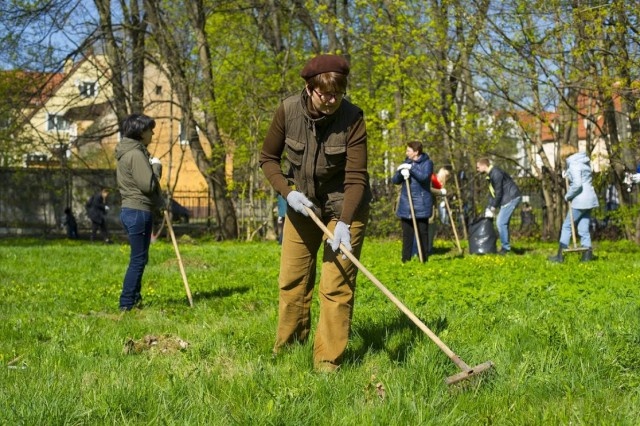 Калининградцев приглашают на городской субботник 25 апреля