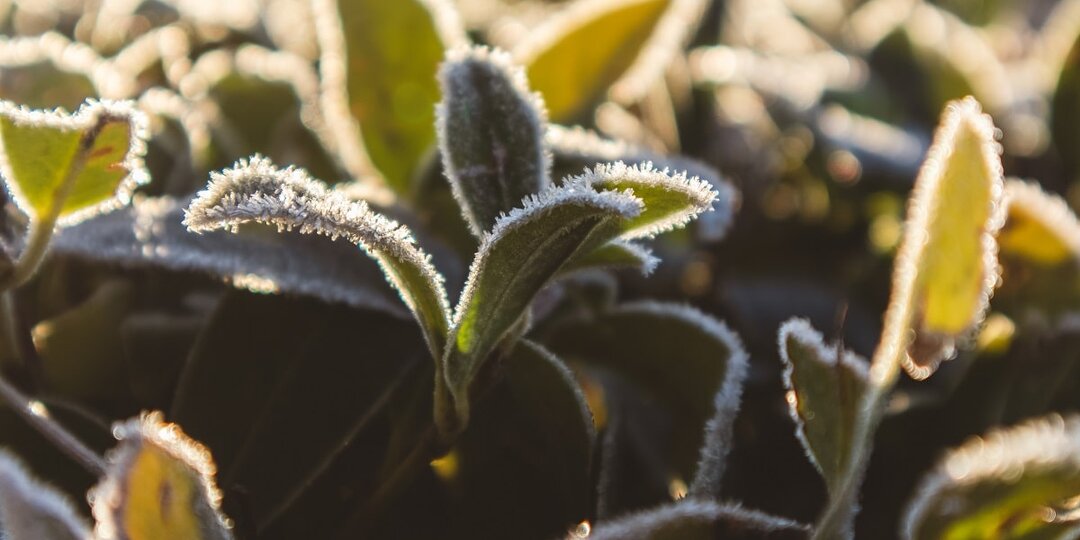 Концерты, спектакли и мастер-классы: что посетить в Рязани 25–26 апреля