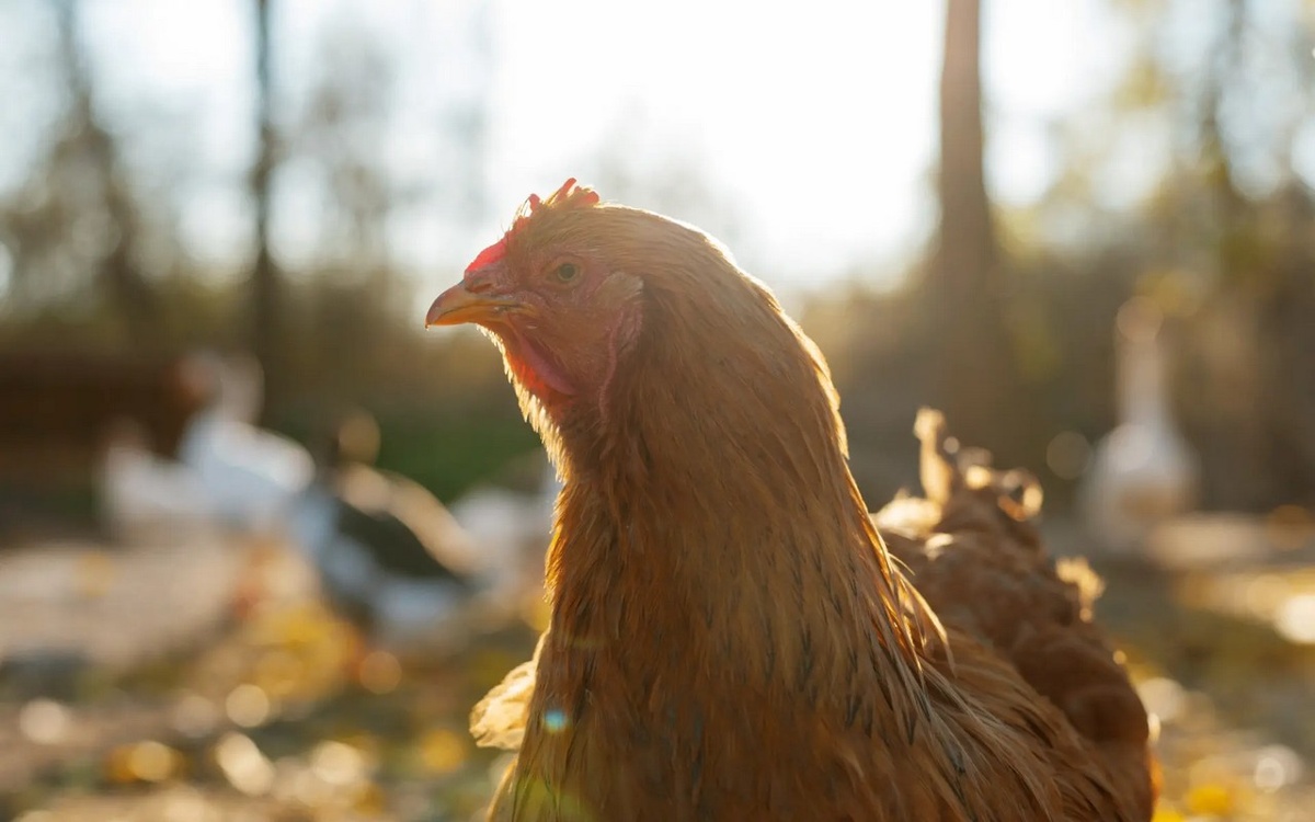    Ростовский перевозчик угрожает банкротством белгородской структуре ГАП «Ресурс» Виктора Наурузова Фото – ru.freepik.com
