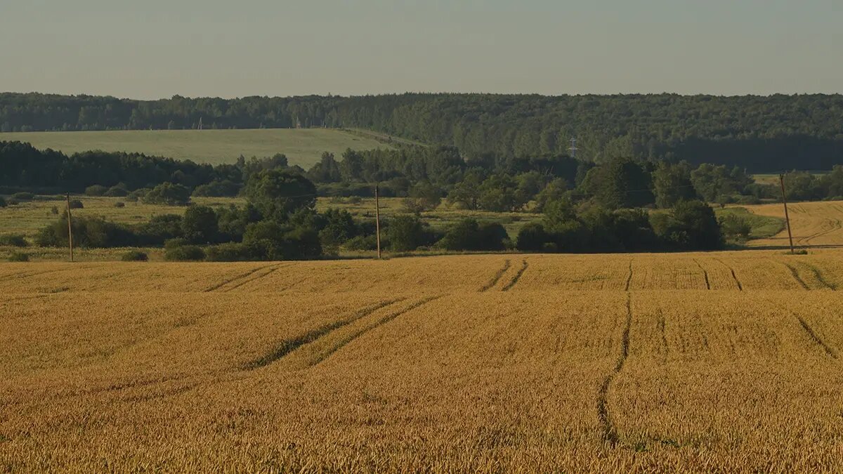    Источник: vm.ru/ Михаил Горбунов