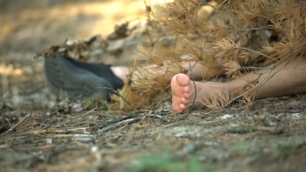    Фото: iStock/Motortion