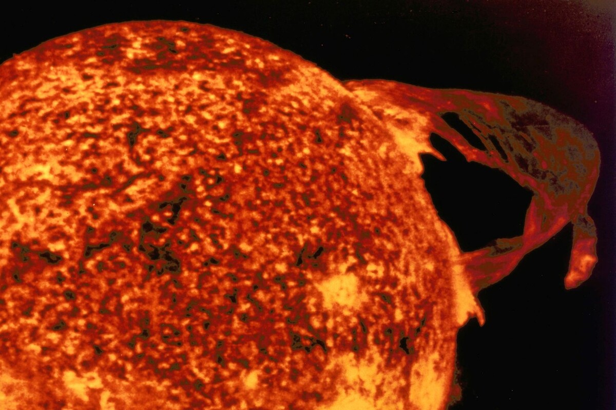     / Источник: © Global Look Press