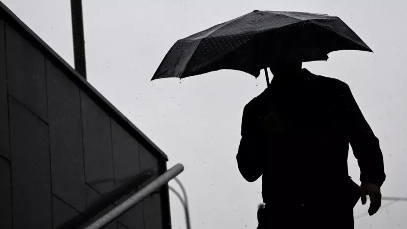    Источник: russian.rt.com Михаил Горбунов