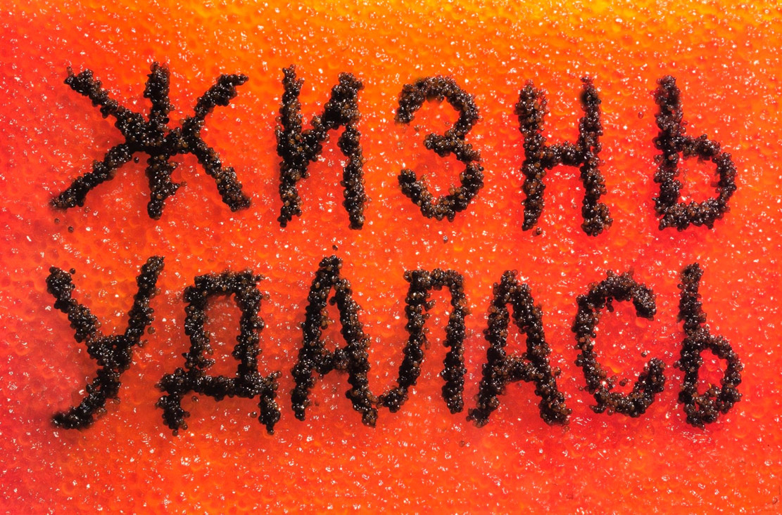 Изображение создано автором на основе фото из открытых источников.