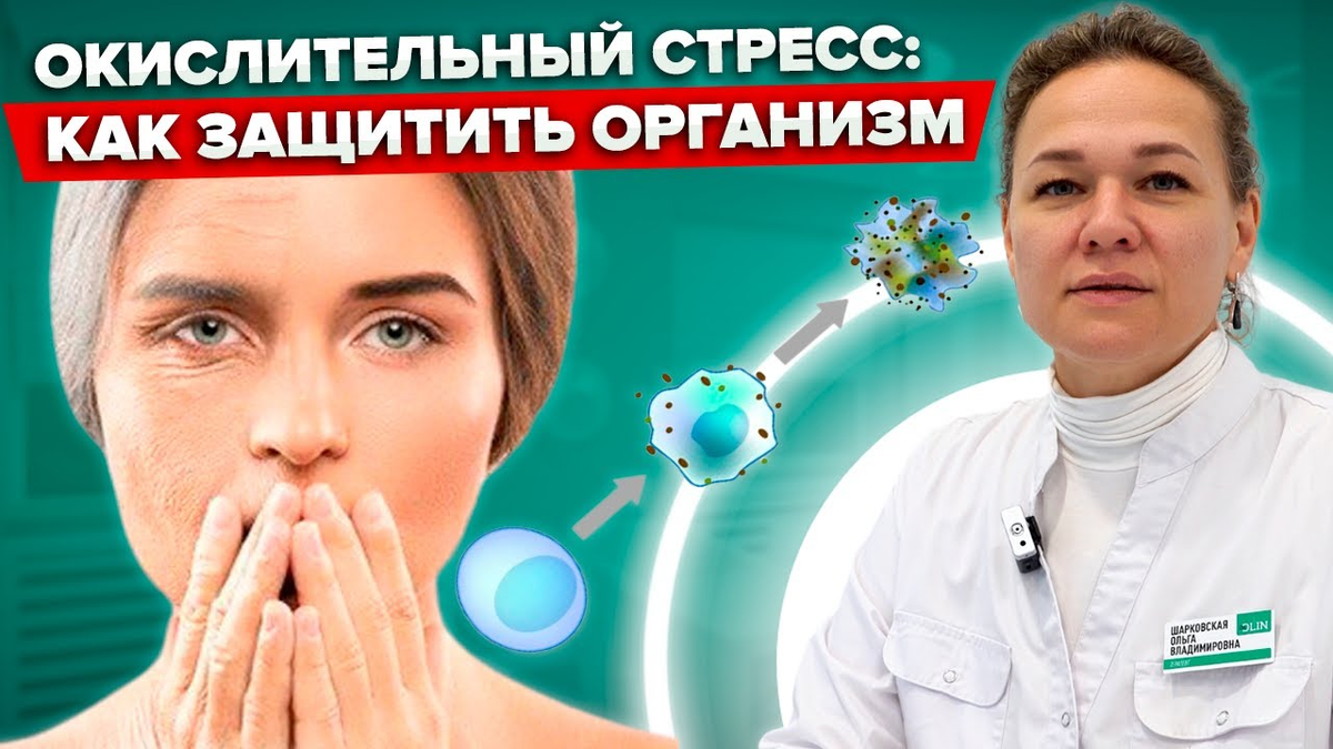 Источник:https://i.ytimg.com/vi/nrn8PoGb-Zw/maxresdefault.jpg