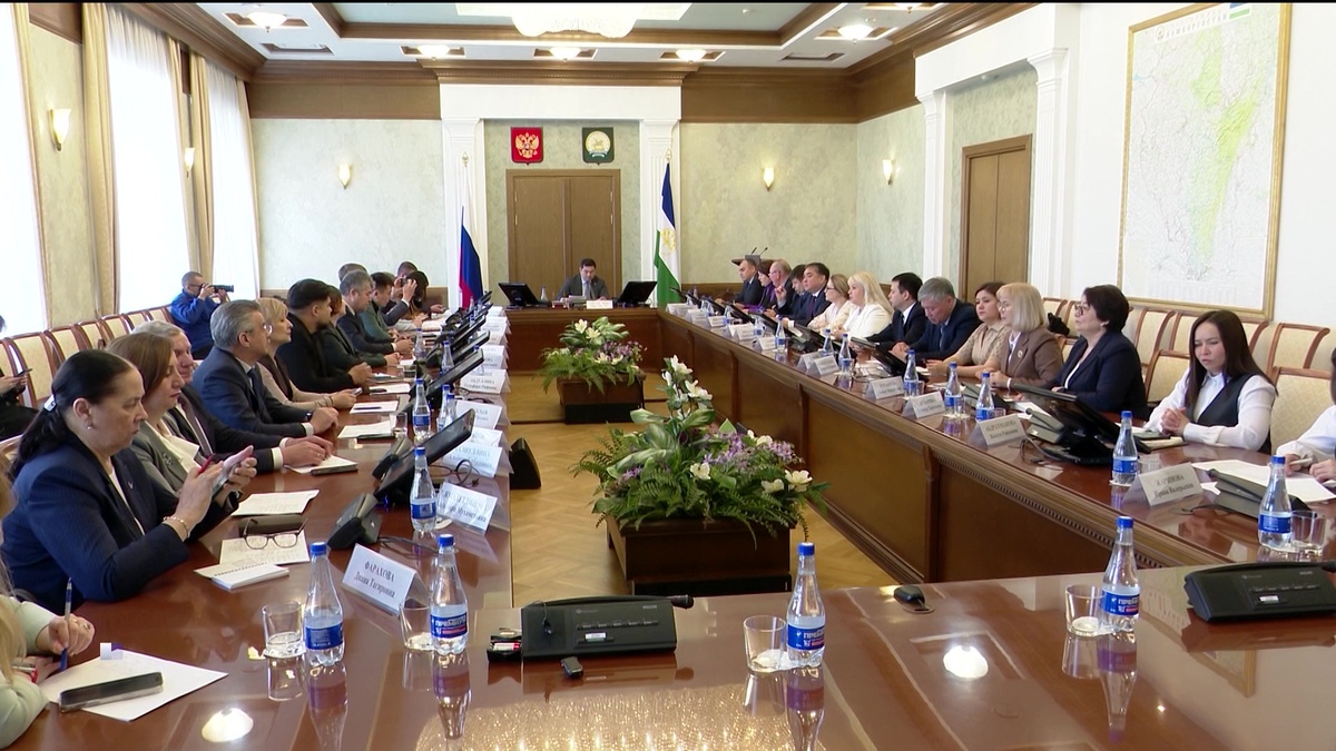    В Уфе обсудили вопросы внедрения искусственного интеллекта для сохранения башкирского языка