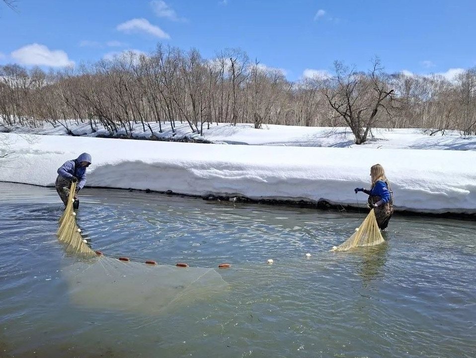 Фото: КамчатНИРО