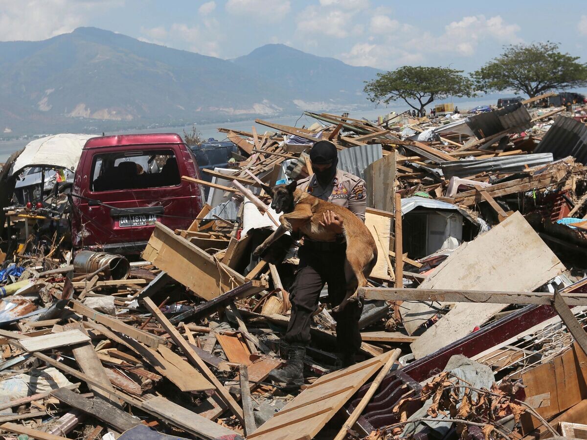    Последствия землетрясения и цунами в районе города Палу на индонезийском острове Сулавеси | © AP Photo / Tatan Syuflana