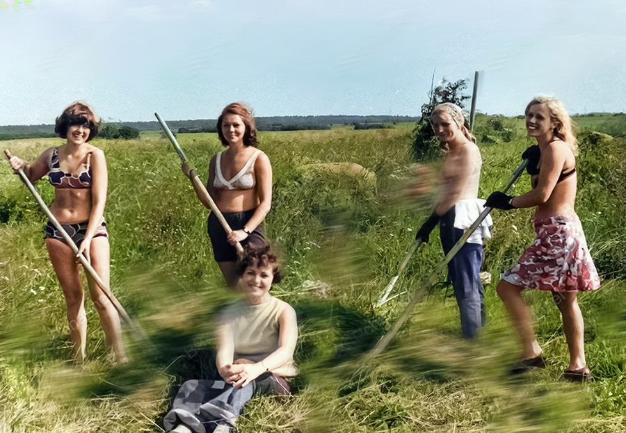 Девушки работают в поле. Ленинградская область, 1976 год