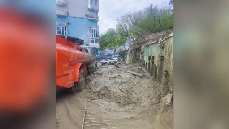    Фото: t.me/sochitypical