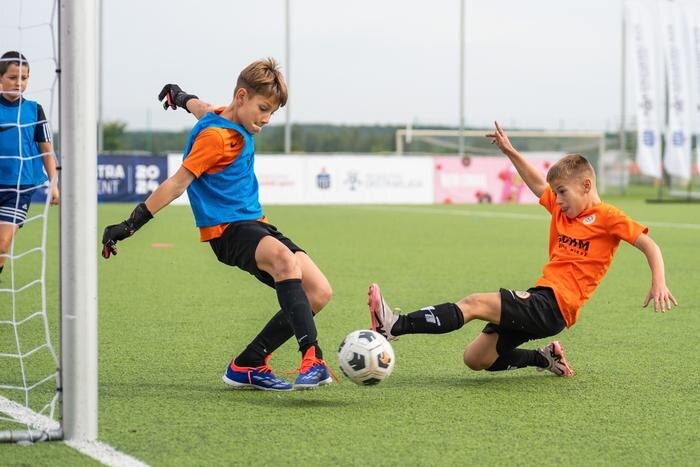 Обложка © Shutterstock / FOTODOM / Dziurek