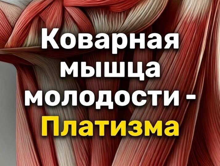 Почему лицо с возрастом упрямо ползёт вниз