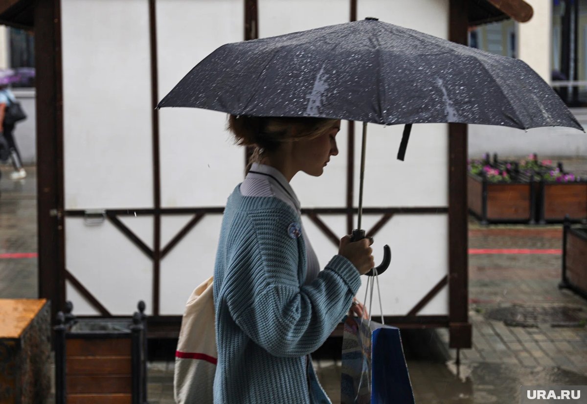     Местами в регионе пройдет сильный дождь