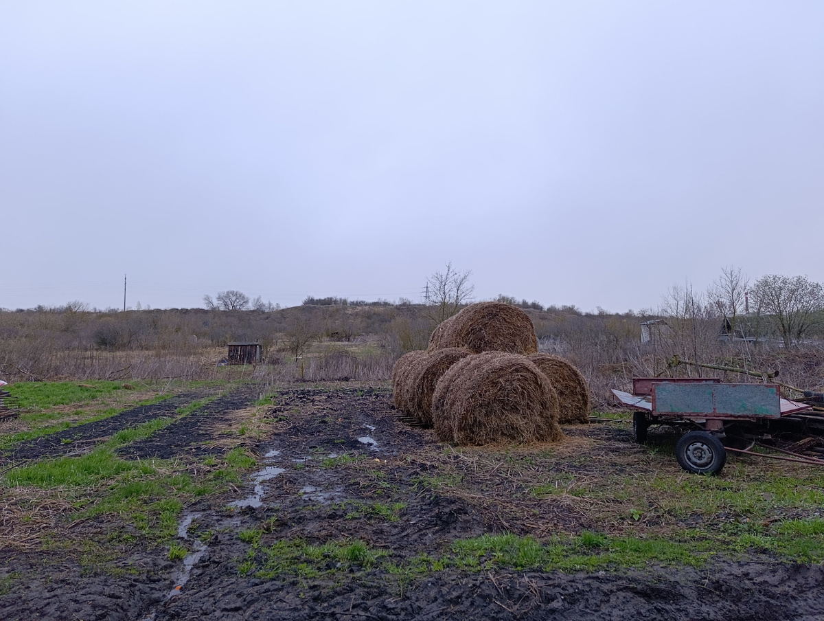 Вид из окна, дач почти не видно, но они там есть - честно, честно. 