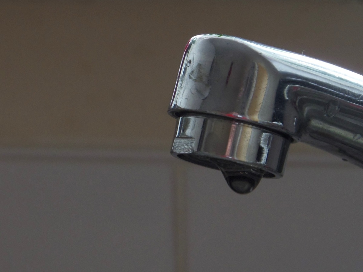    фото: pxhere.com