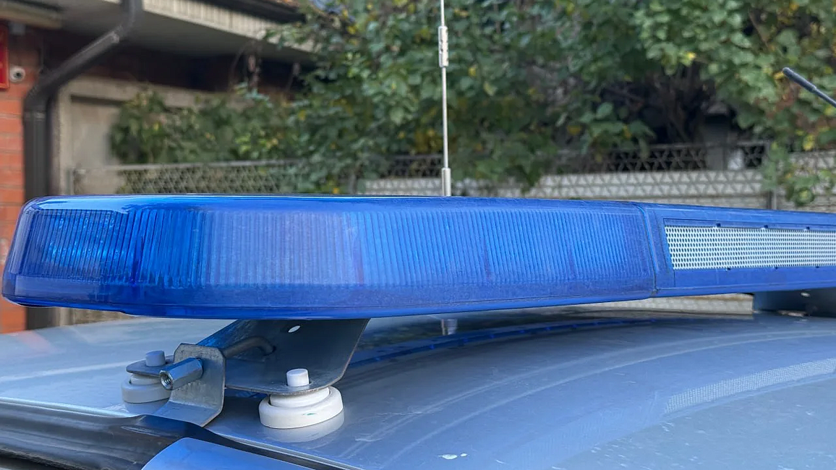    Фото: телеканал «Краснодар»