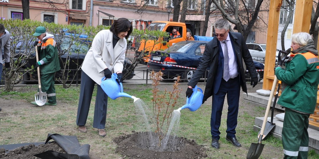 В саду Дружбы высадили пять молодых сакур на радость петербуржцам