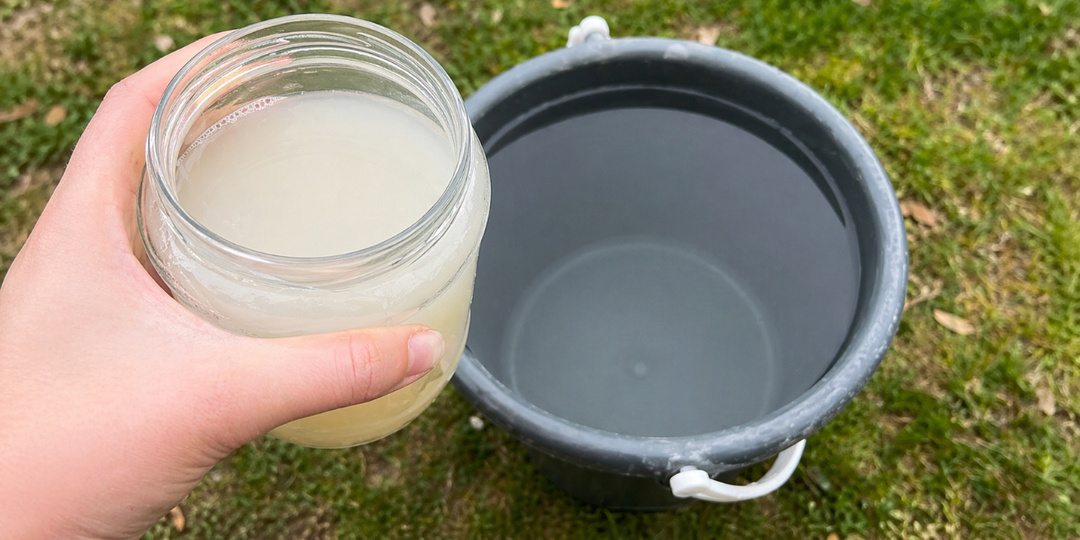 Как избавиться от сорняков на огороде без прополки. Безопасный способ