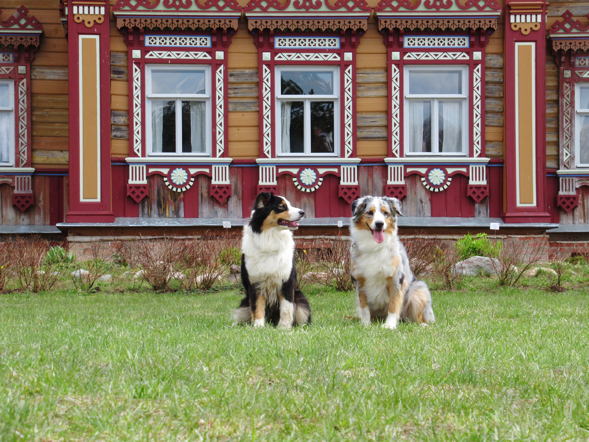 Какие раньше делали красивые наличники