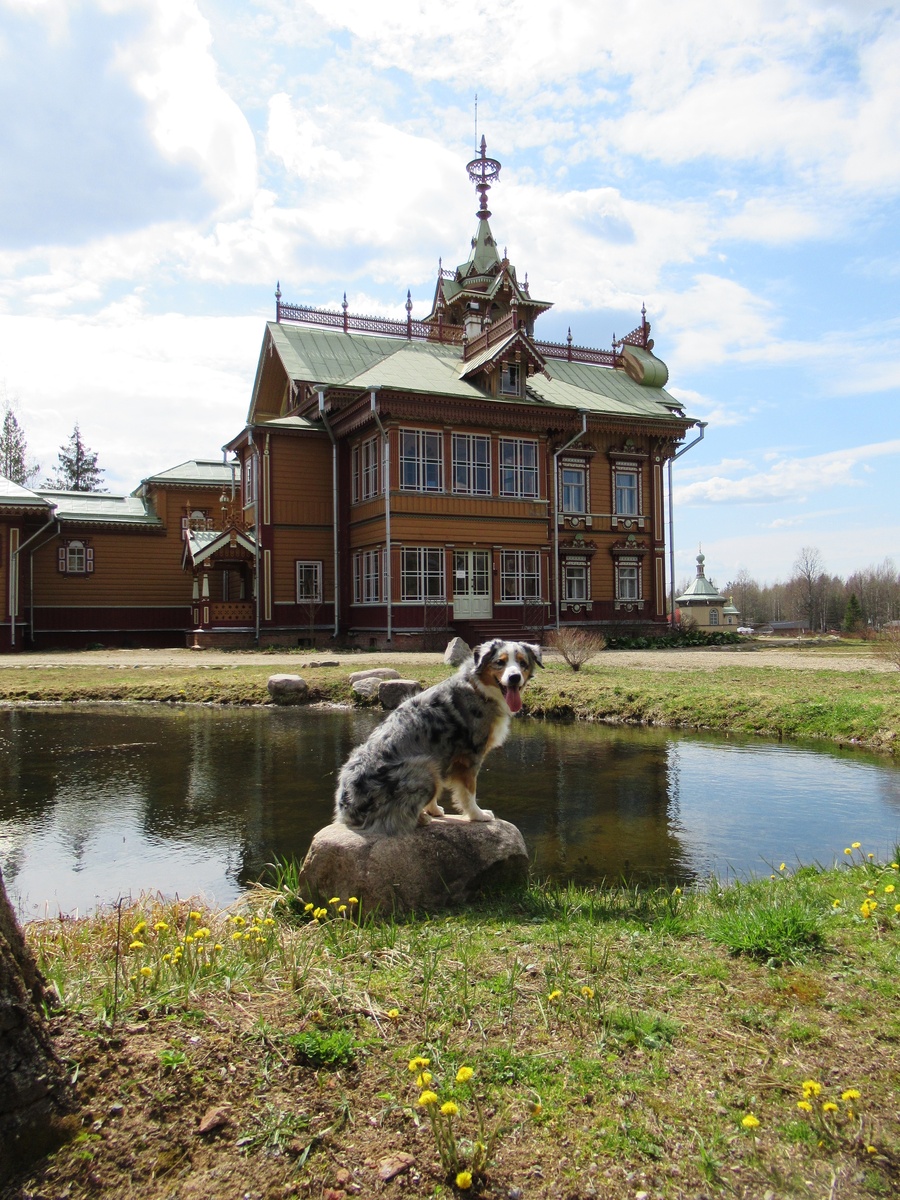 Мохнатая русалочка