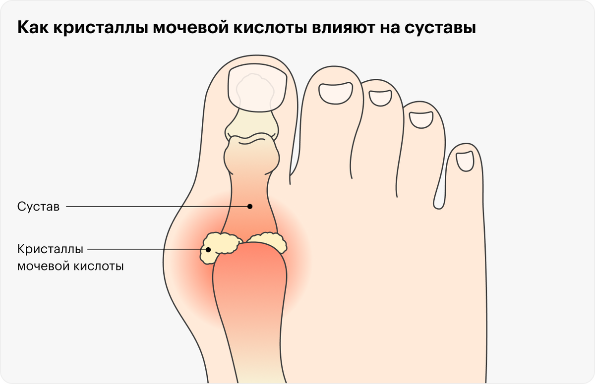 фото из открытого источника