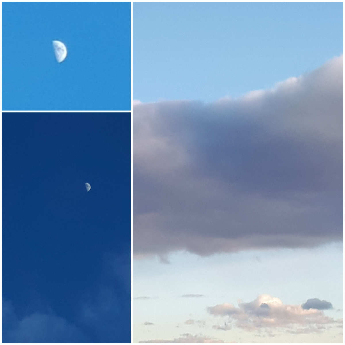 Коллаж автора 24.04.206г.