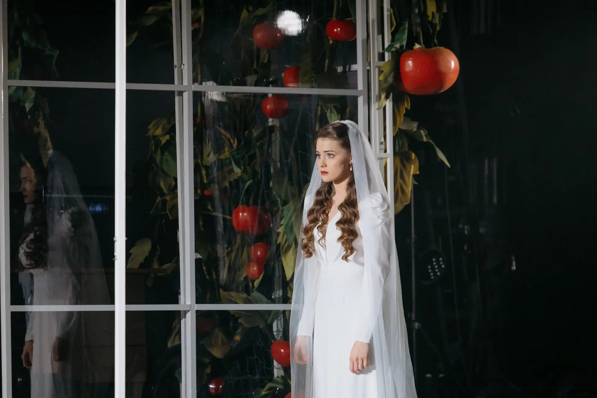 источник: https://estrada.spb.ru/repertuar/istoriya-odnogo-ofisa