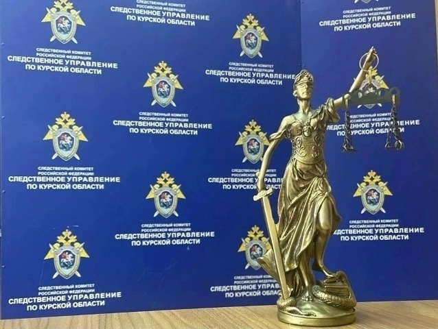     В Курской области 4 человека осуждены из-за мошенничества с перевозками