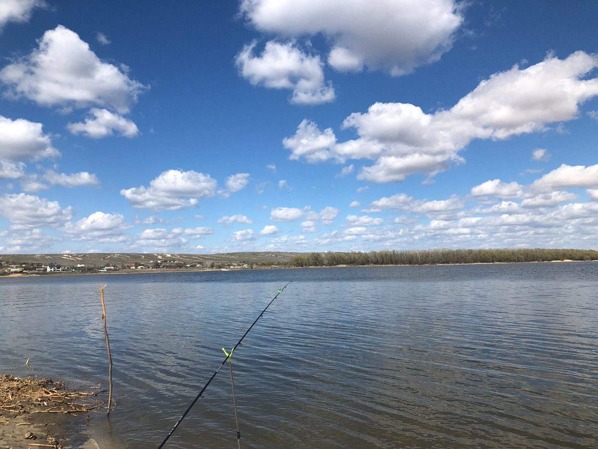 В окрестностях Калачевского района.