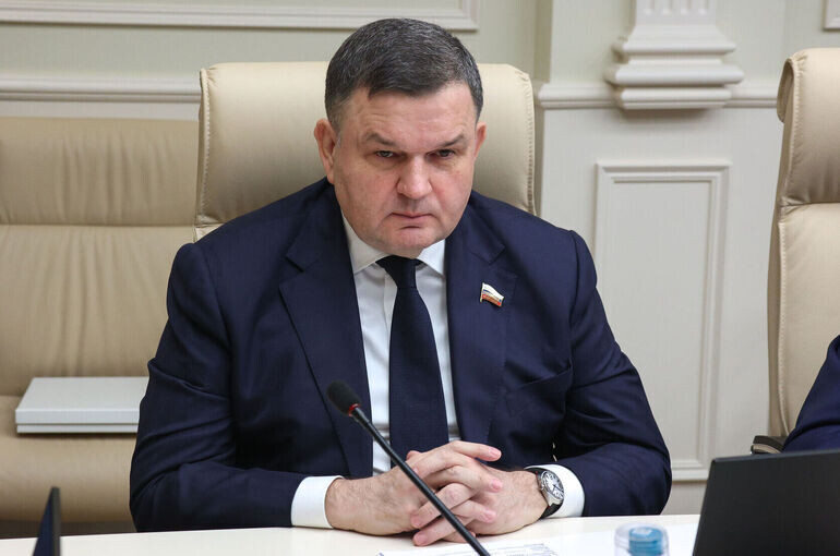   Денис Вышинский/Пресс-служба Совета Федерации