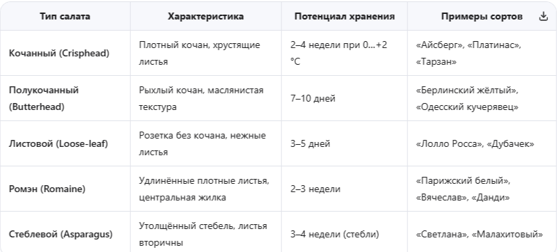 Типы салата и их лёжкость