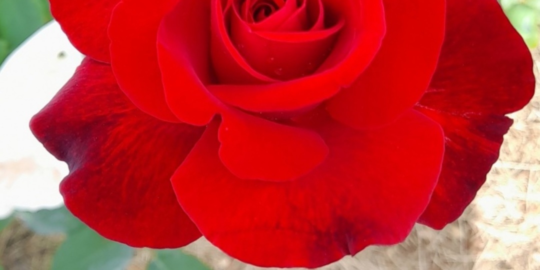 Мои фавориты.