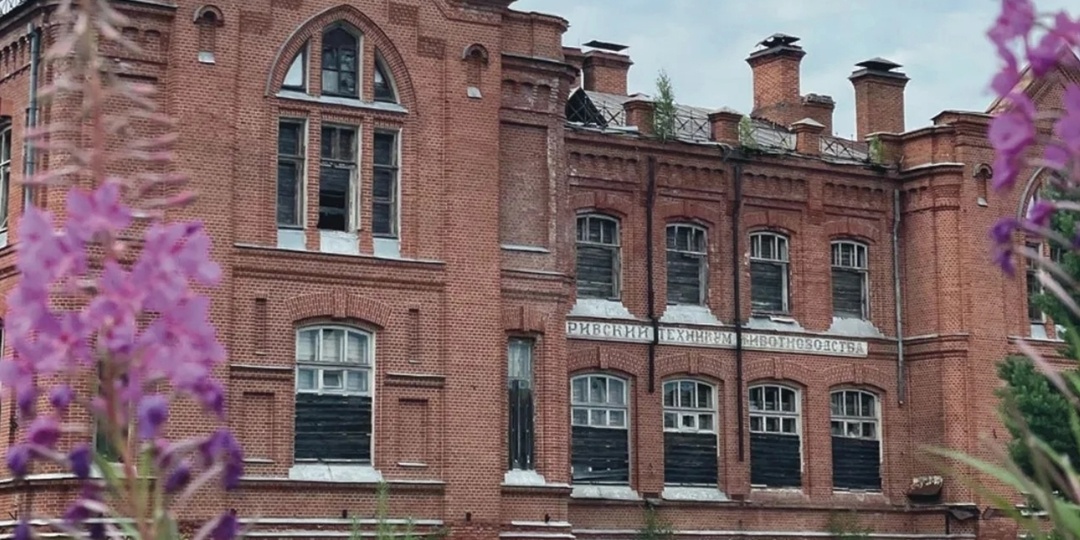 Гусиная столица под Костромой удивила россиян уникальной архитектурой