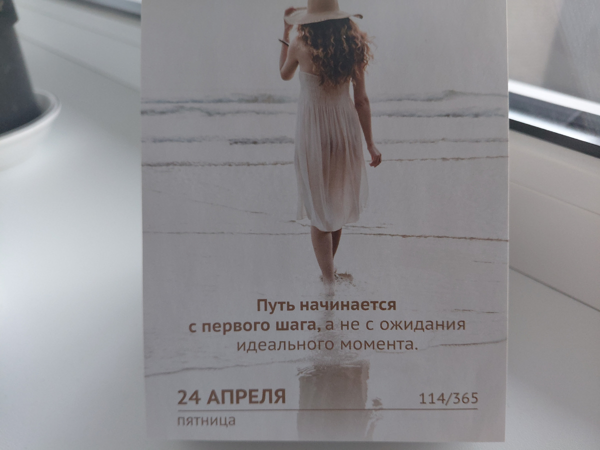 Фото автора. Цитата дня из отрывного календаря 