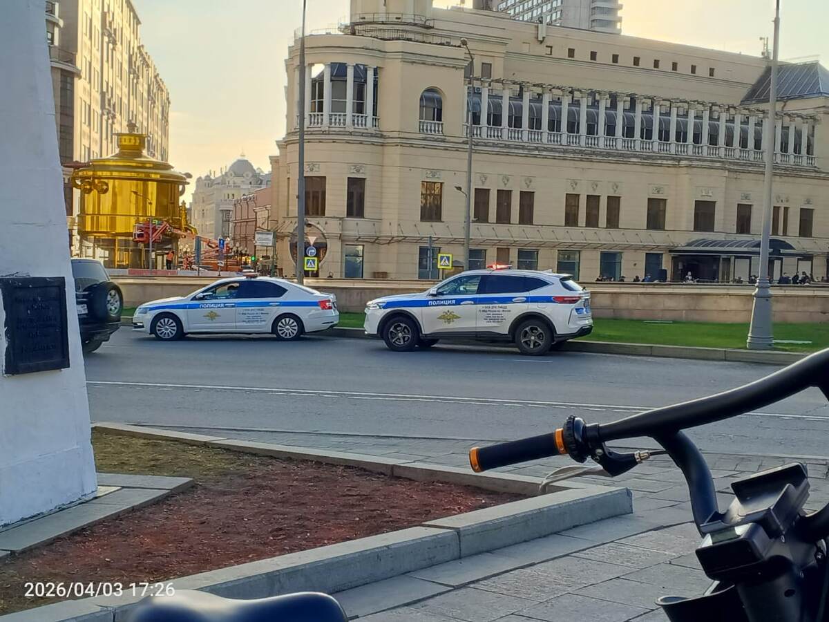 Фото  сына автора ))