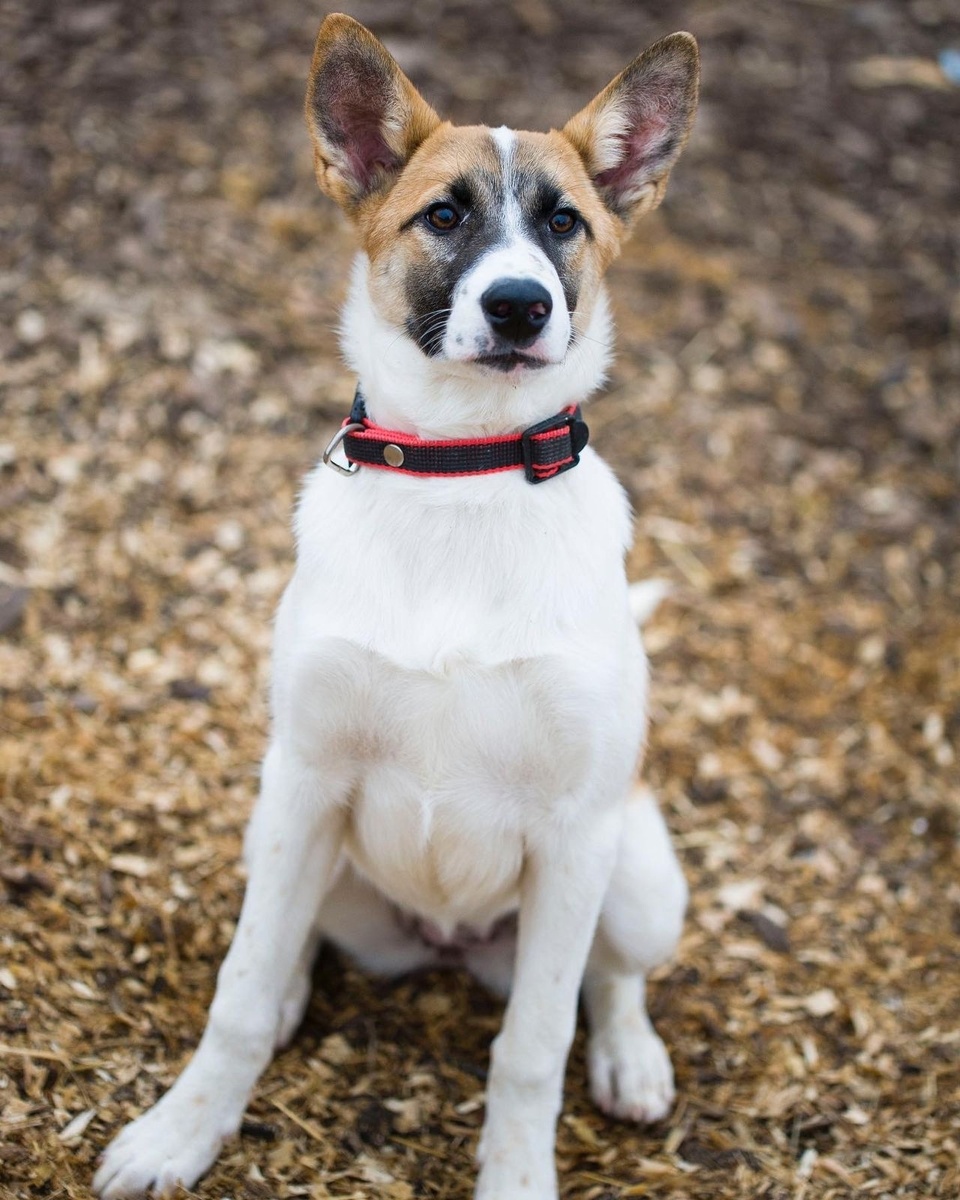Вот такая малышня была