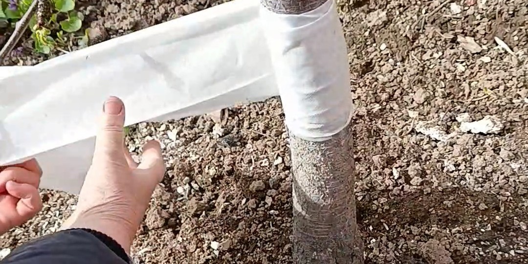 Клей для насекомых ECOTRAP - ваш сад под надежной защитой!