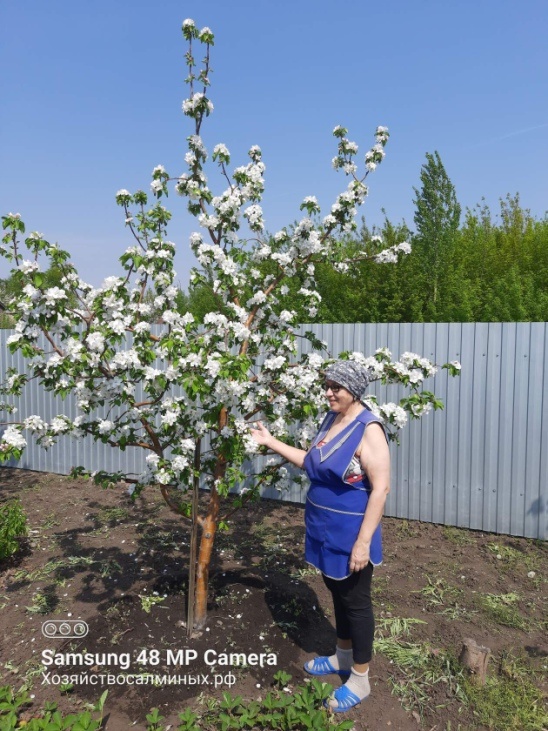 Цветут яблони в саду и в душе 💚🌿🌸
