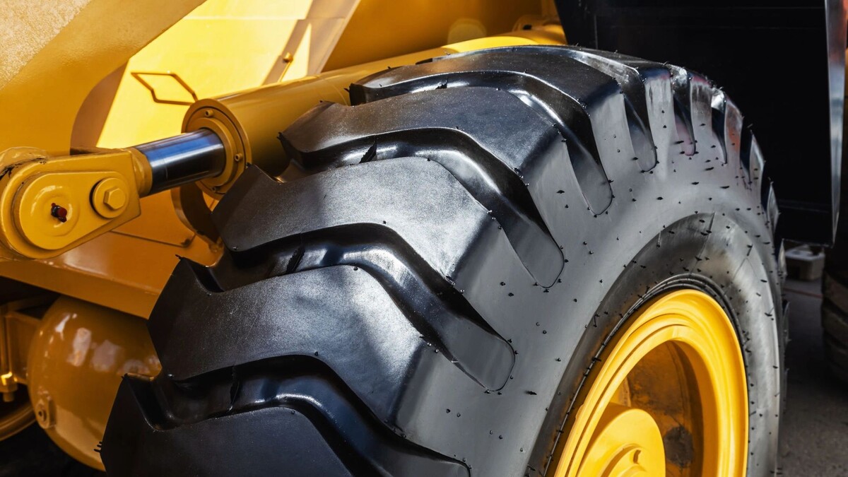    Фото: OlegDoroshin/Shutterstock/Fotodom