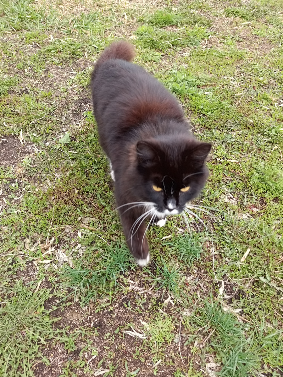 Муза пришла