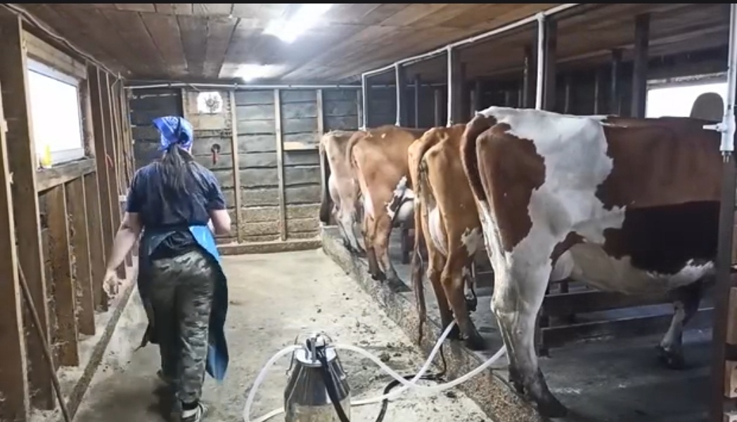 Фото из интернета