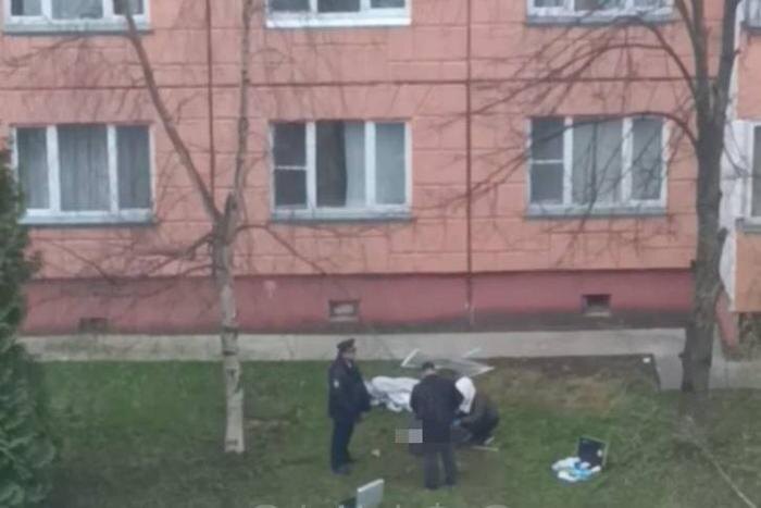 Обложка © Telegram/ ОИНФО: Одинцово, Звенигород, Голицыно, Кубинка