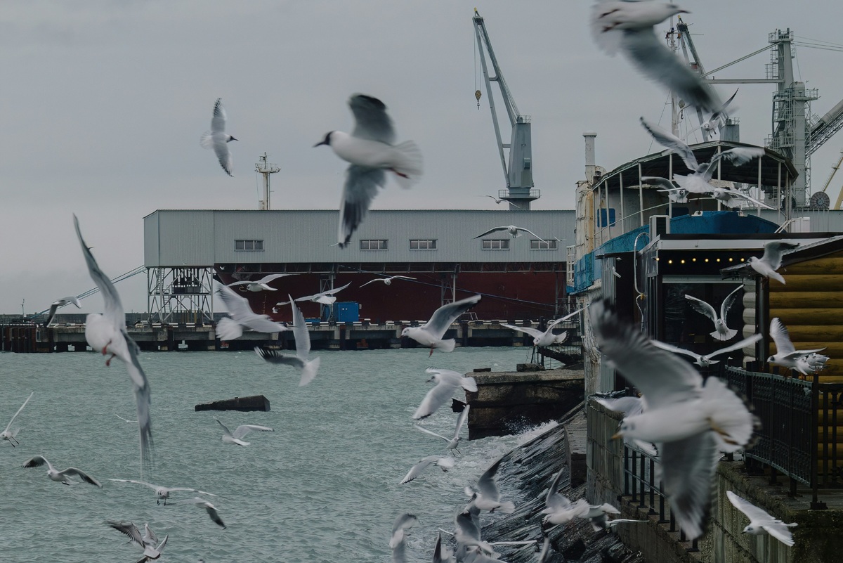     В Туапсе потушили пожар на морском терминале: на это ушло 5 дней