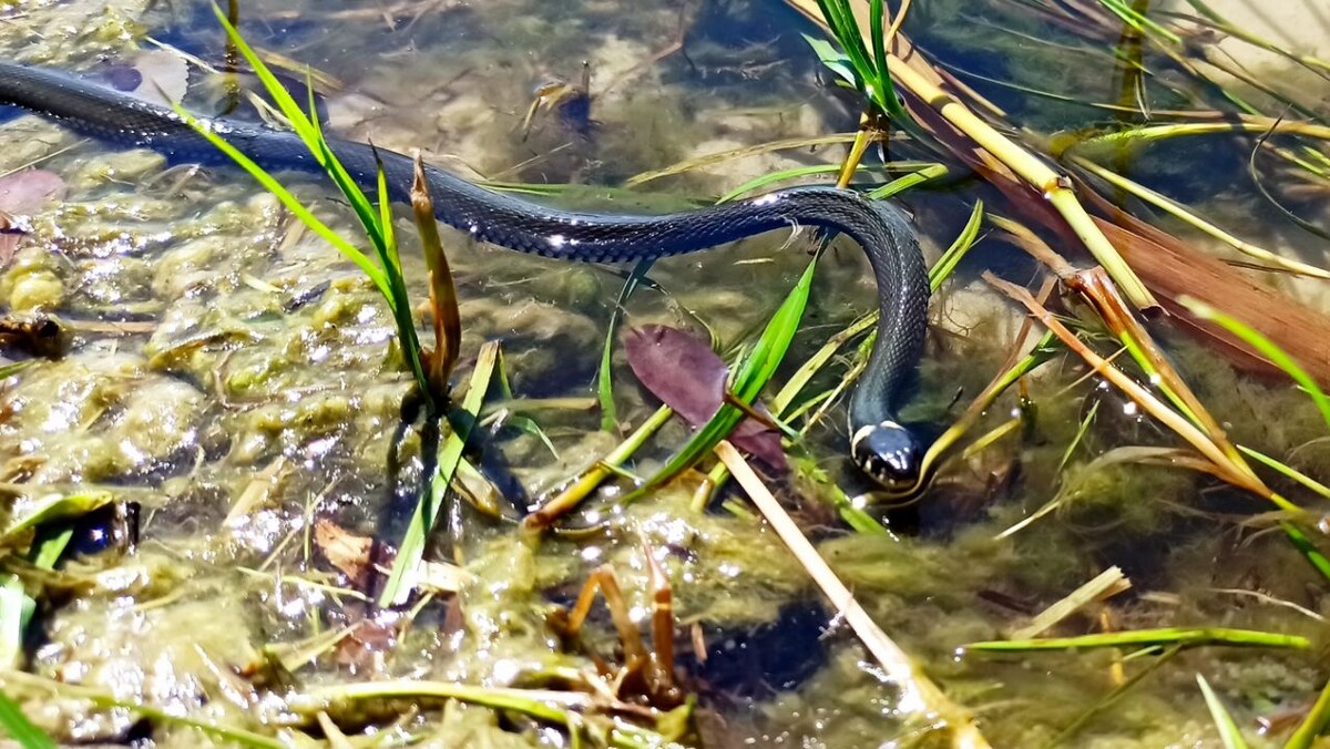    Фото: Олег ЧИРКАШЕНКО