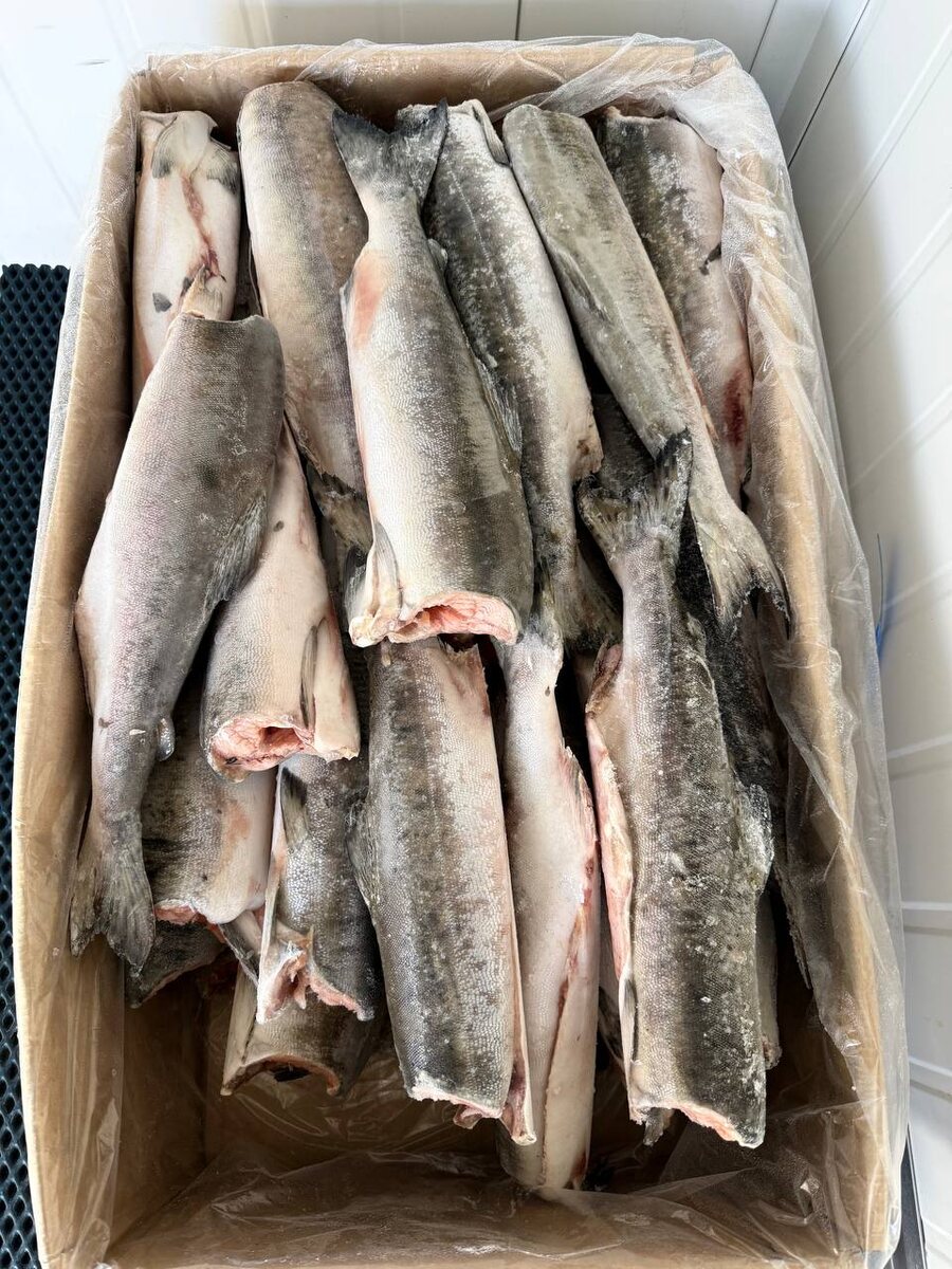 На фото: продукция компании «Фиш Маркет - Рыбный склад»