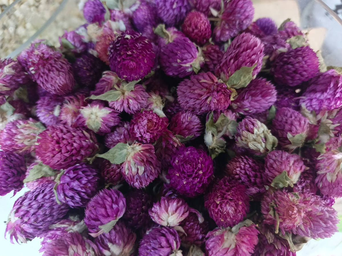 Адлер, цветочные чаи, апрель 2026 года