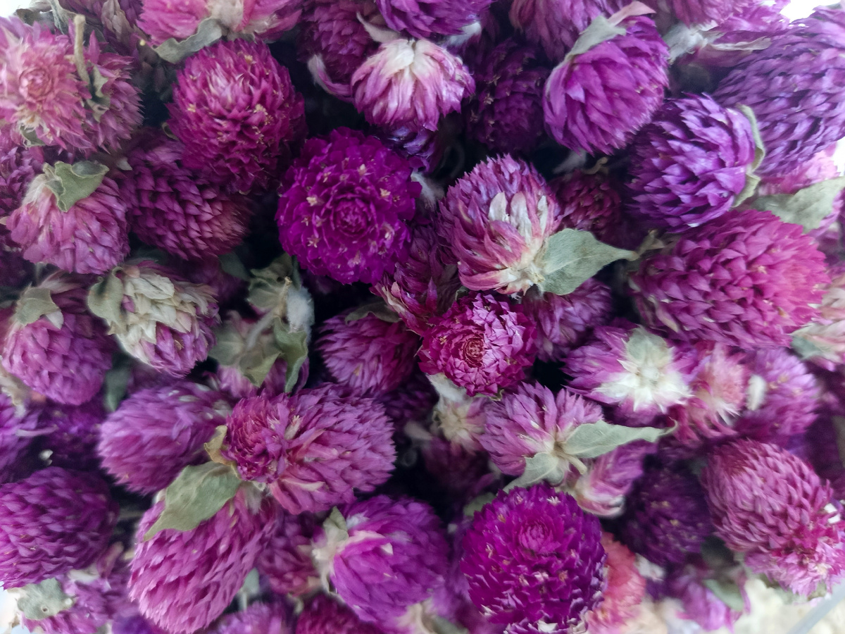 Адлер, цветочные чаи, апрель 2026 года