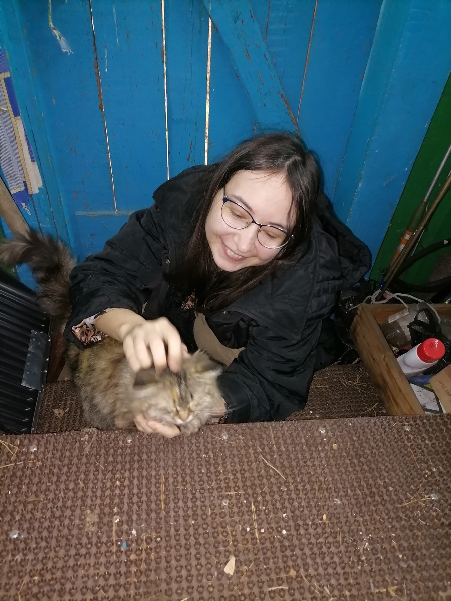 Кошь 😻